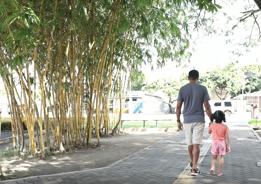 DIA NACIONAL DA ADOÇÃO: DPE-RR orienta sobre o funcionamento do processo de adoção