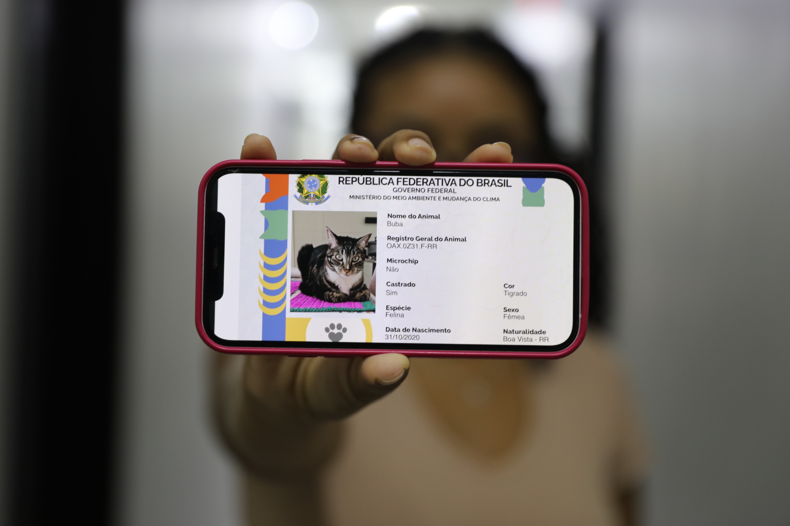 SINPATINHAS: Carreta dos Direitos da DPE promove ação   de registro gratuito de cães e gatos nesta sexta (17)